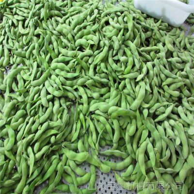 定制速冻毛豆荚加工生产线 毛豆清洗机器 青豆漂烫杀青设备
