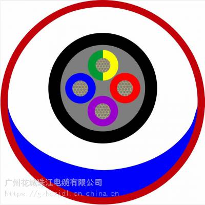 广东广州市电线电缆厂有限公司