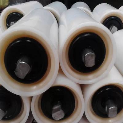 青海塑料托辊-鼎元工程塑料品质为本-塑料托辊价格
