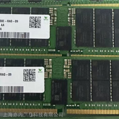 SKʿDDR5 256G 4800Mhz ECC RDIMM ڴ