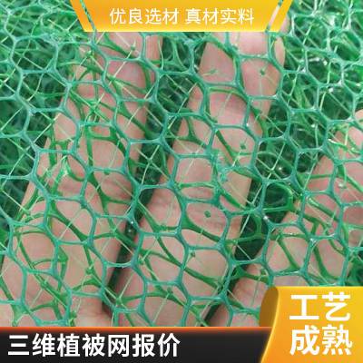世杰塑料EM4三维植被网 草皮护坡固土网垫 14mm 16mm厚