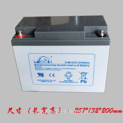 ʿLEOCHܴDJM1255S/12V5***Hֱ UPSԴ ܵ õԴ