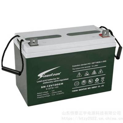 赛能蓄电池SN-12V100CH阀控式铅酸蓄电池12V100AH UPS/EPS配套设施