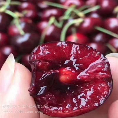 -4ӣءӭѯ