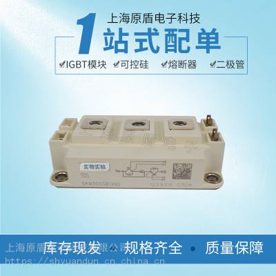 ¹ſSKM300GB126Dģ