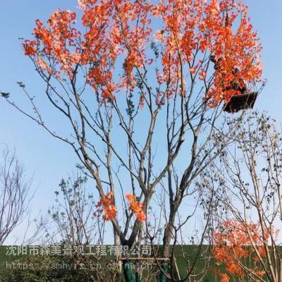 沈阳广场辽宁仿真树叶地产楼盘挂树叶森美景观花艺软装