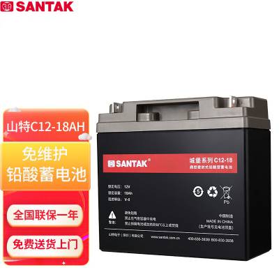 UPS电源专用蓄电池密封免维护 C12-18 12V18AH/0564654