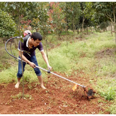ũ豸Ͳ԰ֲݻ ԰԰ݻ