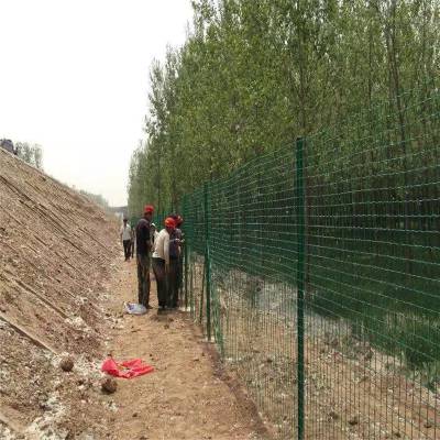 钢丝防护围栏 养殖专用绿色浸塑围栏 硬塑荷兰网