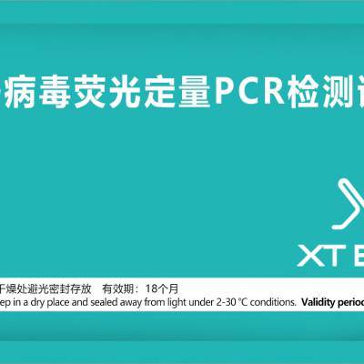 裂谷热病毒荧光定量PCR检测试纸条