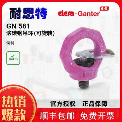 GN 581吊环螺栓（可旋转）