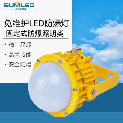 LED防爆灯70W50W免维护防腐防水工厂平台灯 40W60W隔爆照明节能灯