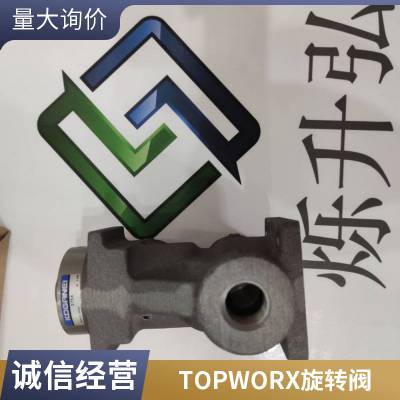 TOPWORX 35-13319M 限位开关 TIEFENBACH 磁性开关