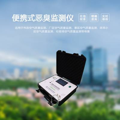 便携式臭味检测仪/手提式恶臭监测设备 响应速度快 支持国外市场合作