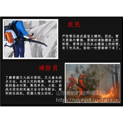 秋季干燥森林消防灭火机 普航多功能吹风机 黑龙江道路积雪清理机