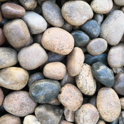 发电站滤油用河卵石5-8公分 鹤壁变压器河卵石永顺厂家