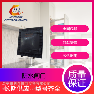 和利隆 矿用防水闸门1.5*2.8m MPS防水闸门 全自动 规格可定制