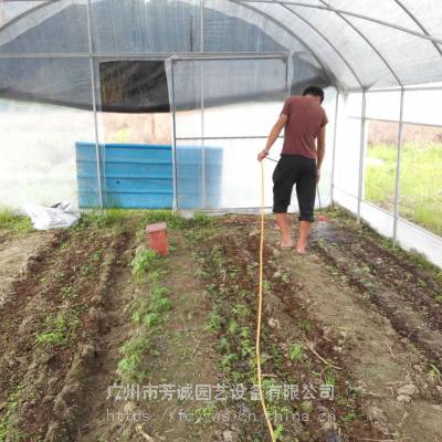 湖南郴州蔬菜大棚 温室蔬菜大棚 蔬菜大棚建设