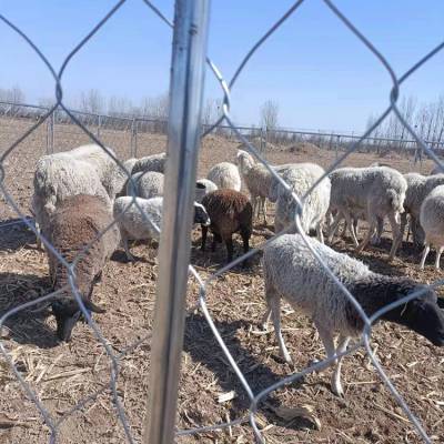 宇润 草原围栏网 圈养牛栏网 圈地围网养殖铁丝网