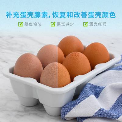 鸡蛋壳颜色暗没有光泽解决办法用蛋鸡添加剂