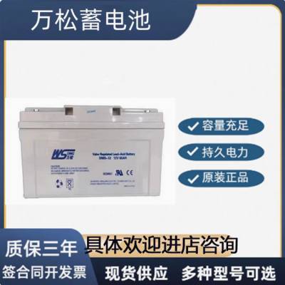 万松蓄电池SN120-12 12V120AH 全新现货照明电力设备火灾报警控制器