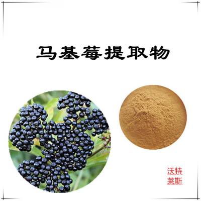 马基莓提取物 浓缩粉 提取液 浸膏 多种规格 1kg起订 包邮