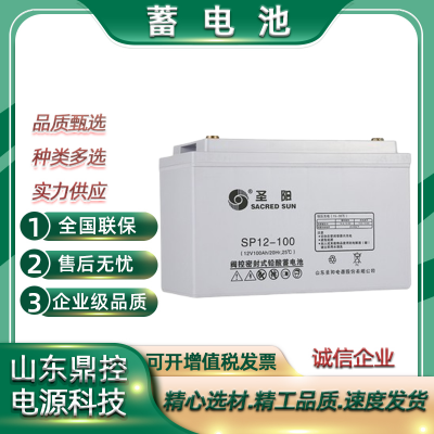 ʥSPG12-300W ĿͶ 糧UPSϵԴ12V80Ah