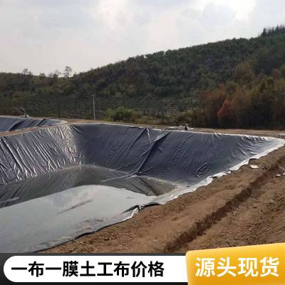 水库大坝水产养殖土工膜单价 油罐防渗膜 复合两布一膜