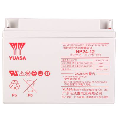 ǳ 12V24AH ǳ NP24-12 Ǧά