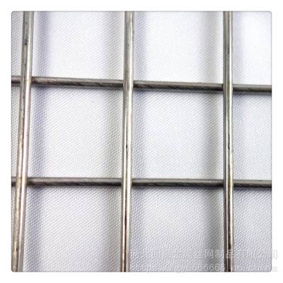 大丝养殖电焊网 防鼠不锈钢钢丝网 304电焊网