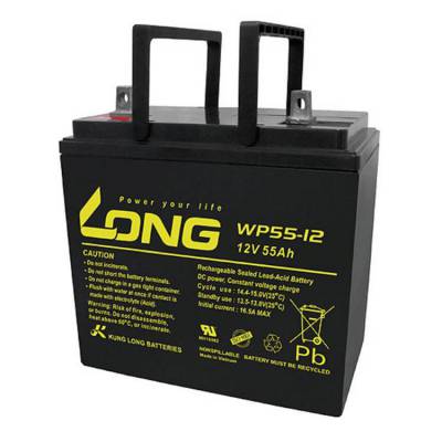 12V55AH广隆(KUNG LONG)电池WP55-12N阀控免维护蓄电池铅酸电池