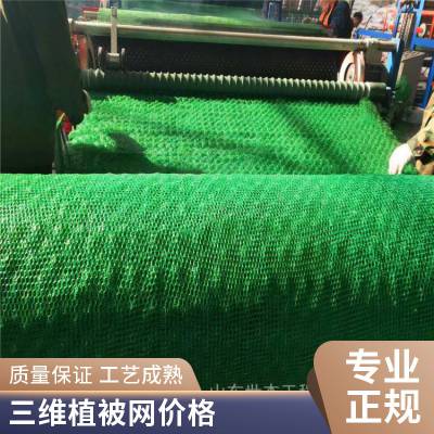 咸宁世杰EM4 EM3三维植被网 护坡固土网垫 抗冲刷 加筋防护