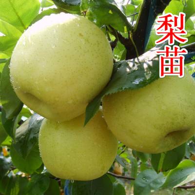  ƽ ʼ޽ӻƽ ũ