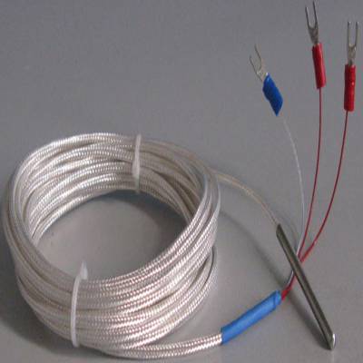 WZPM2-001 pt100雙支端面鉑熱電阻帶成套附件引線10米 耐油***（0～150）℃