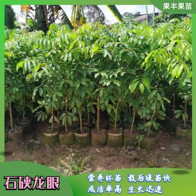 ʯ 硢ӪС