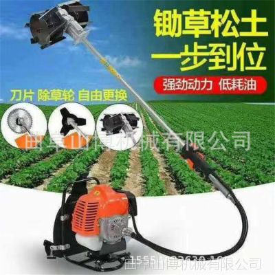 ��԰��������ĳ屳��ʽ���ػ� ��԰������е���ݻ�ɽ������