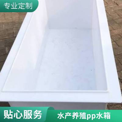 化工环保pp水箱 污水处理用塑料水槽 清理方便