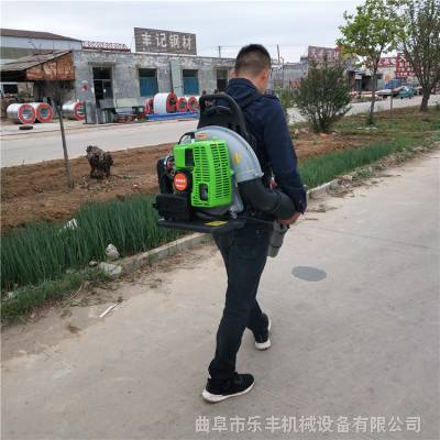 热销道路路面背负式吹风机 公园吹落叶背负式吹风机 乐丰机械