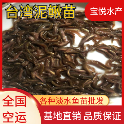 ȫ깩Ӧ巢