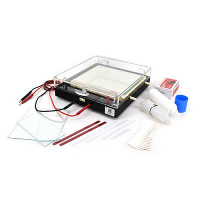 北京六一 DYCP-37B型 等电聚焦电泳仪 散热均匀
