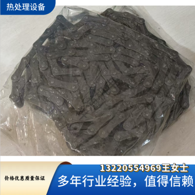 爱协林多用炉非标定制链库用传动链耐高温耐腐蚀耐磨铸铁材质链条