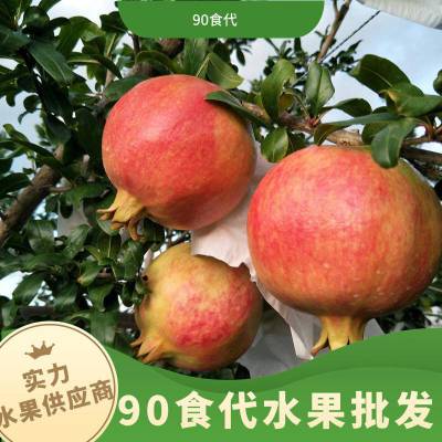 成 都水果供 应 商 红星路水果批发市场配送酒店 食堂 单位水果上门