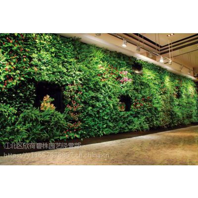 重庆真植物墙制作重庆仿真植物墙制作重庆垂直绿化设计施工
