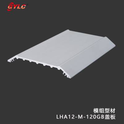 ݸҫרҵģͲ LHA12-M-120GBĸǰ