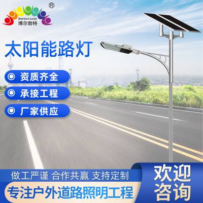博尔勃特 太阳能路灯新农村亮化工程道路照明路灯杆定 制