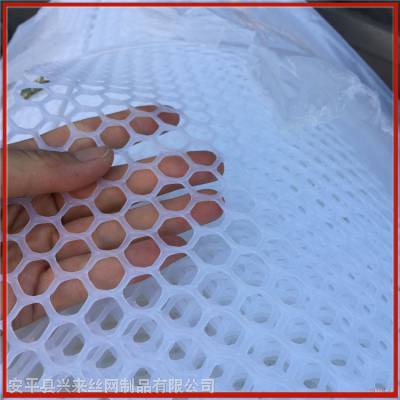 纯料食品中转框定做 环保用塑料网片 白色六角孔防护网