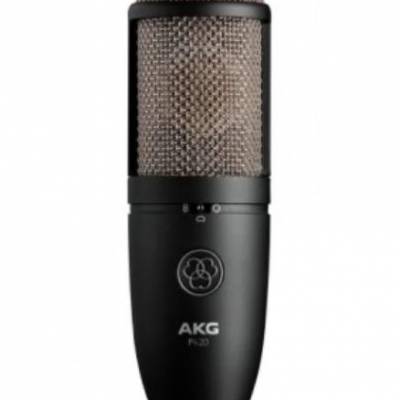 AKG（爱科技）P420 Single 高性能多指向性电容话筒