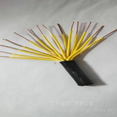 广州电线电缆生产厂家，计算机控制电缆ZR-KYJY 24X2.5