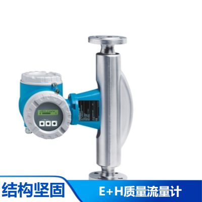 德国液体测量工业自动化仪表E+H 质量流量计 80F050 科氏力E+H质量流量计83E08