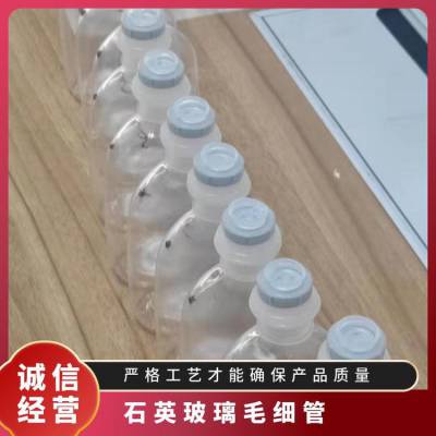 奇宜仪器微管毛细管阳性样品制备孔径可达0.1um验证密封完整性